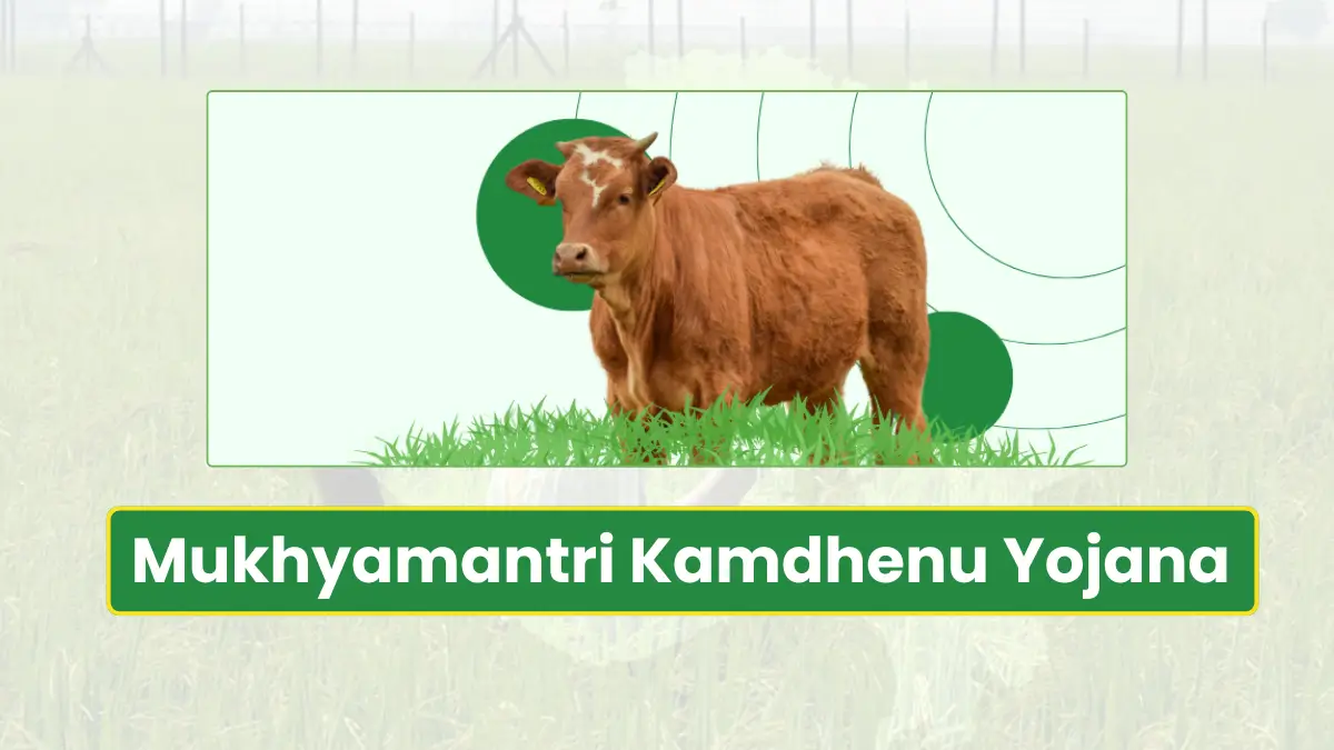 Mukhyamantri Kamdhenu Yojana