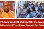 UP Scholarship